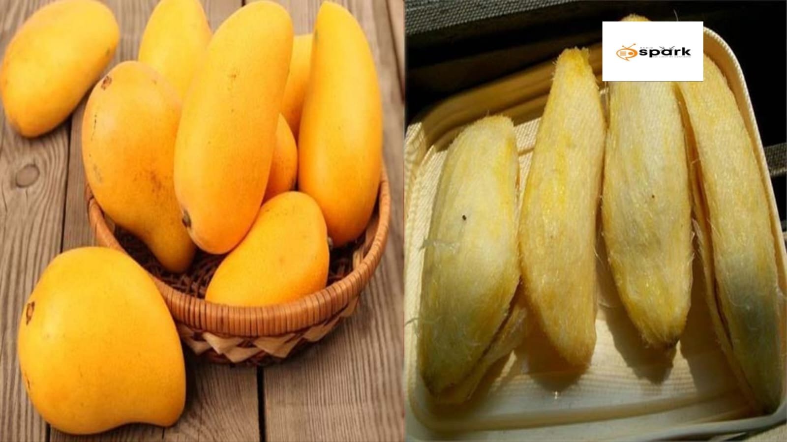 Read more about the article प्रकृति की ओर-आम की गुठलियों से हरित भविष्य की ओर कदम